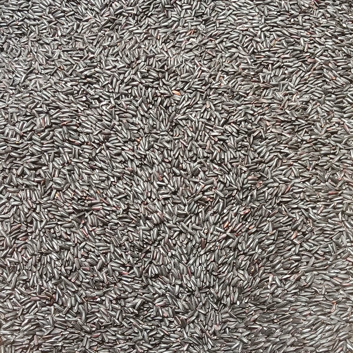 Black red rice grains